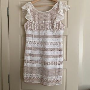 BGBG Max Azaria Blush and White Lace Knee Length Dress Size 12